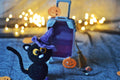 Häkelset Halloweenkatze mit Koffer Ricorumi Nilli Nilli Amigurumi